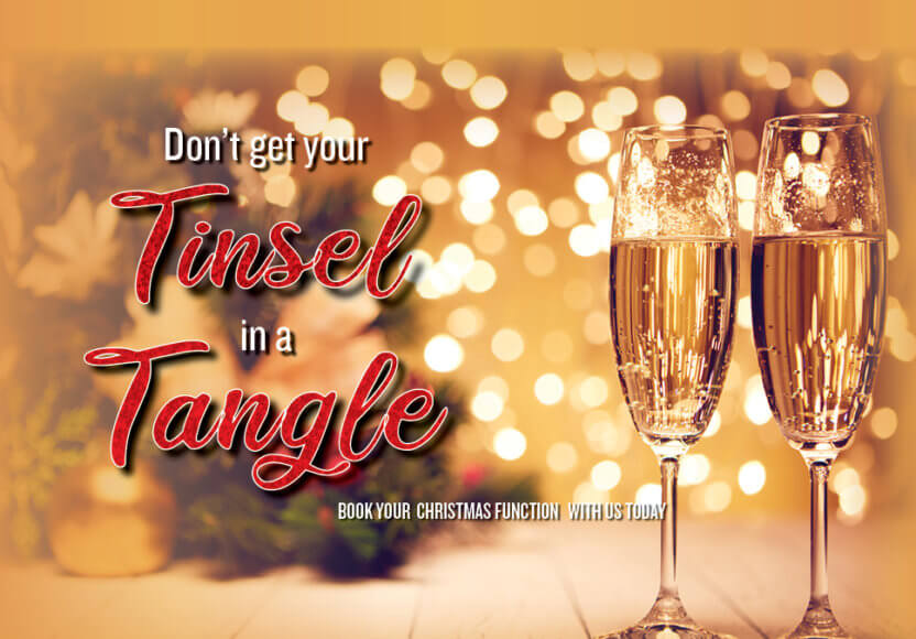 PNW Christmas Tinsel – FB